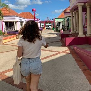 High Rise Distressed Light Denim Shorts